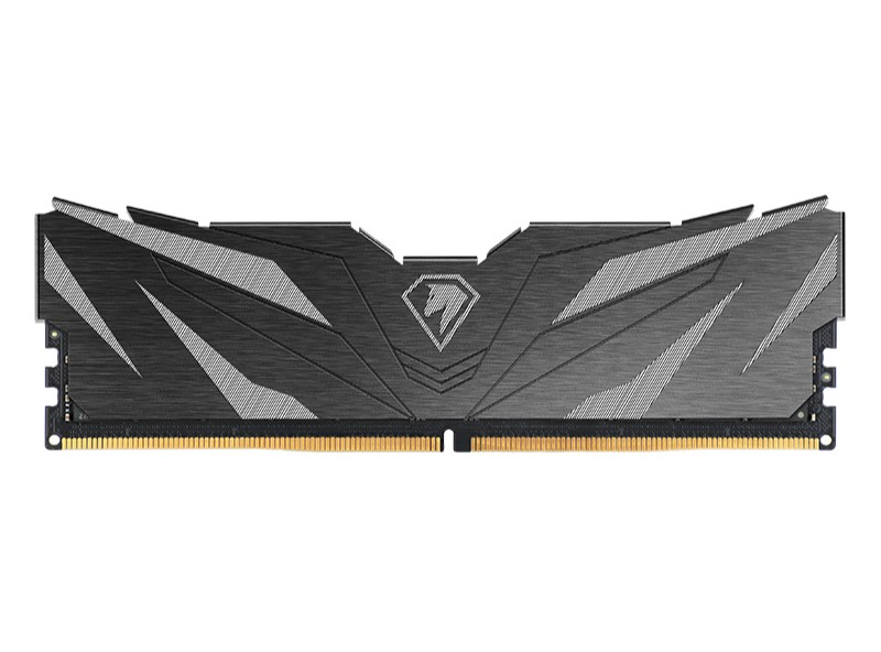 Netac Shadow II 16GB DDR5-6000 (PC5-48000) C38 38-48-48-96 1.35V XMP Memory module (DIMM) Black
