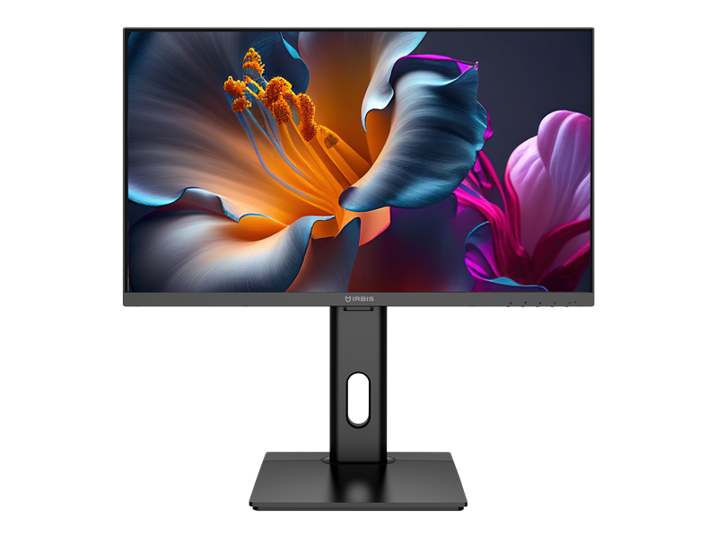 23.8'' IRBIS MIR View24 LED Monitor 1920x1080, 16:9, IPS, 300 cd/m2, 1000:1, 3ms, HDMI, DP, USB-A 3.2х2, USB-B, USB-C(65W), Speak,100Hz, регул. накл/выс/повор/вращ,внеш.бп. Black МИНПРОМТОРГ(МПТ)